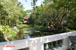 Pond in the park.